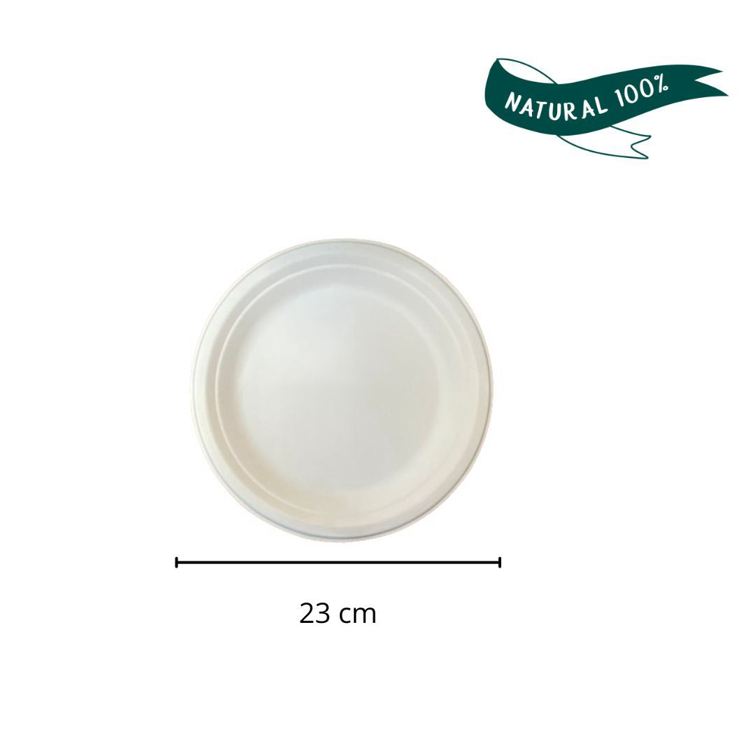 Assiette en pulpe Ø230 mm – Colis de 50