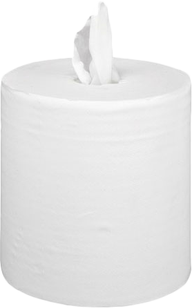 Essuie-mains TYPE 450 Format G/C – Colis de 6