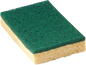 Tampon Vert sur Éponge Végétale 125x90 mm – Nettoyage Polyvalent – Lot de 10