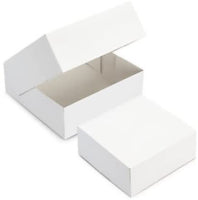 Boîte Pâtissière Blanche 31x31x5 cm en Carton – Colis de 25 pièces
